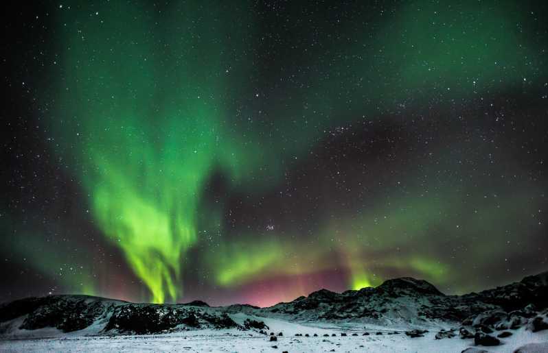 Da Reykjavik: Tour in autobus dell'aurora boreale e delle stelle