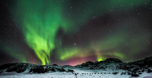 From Reykjavik: Northern Lights Tour