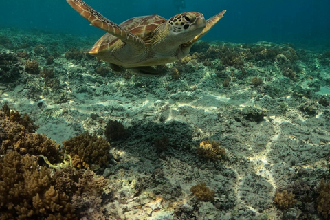 Cu Lao Cham - The Hawaii of Central Vietnam