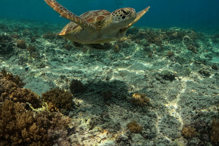 Cu Lao Cham - The Hawaii of Central Vietnam