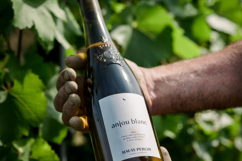 Domaine de Haute Perche: Anjou Noir Wine Tasting