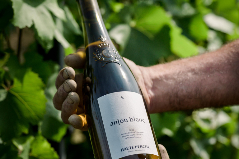 Domaine de Haute Perche: Anjou Noir Wine Tasting