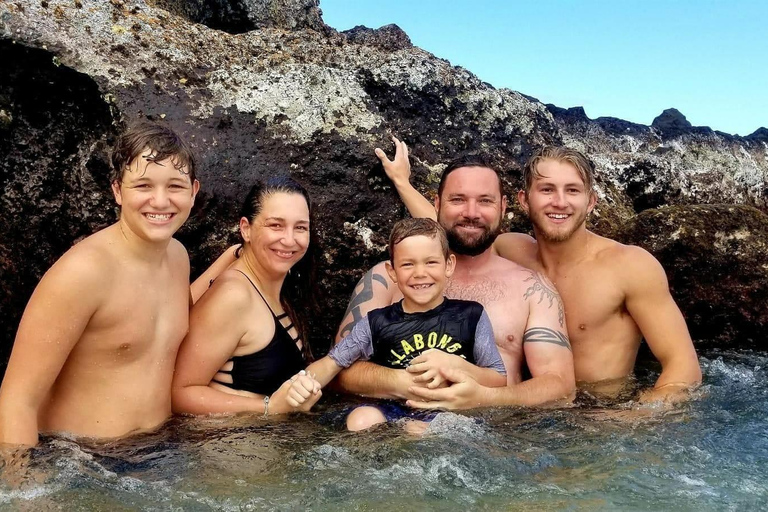 Oahu: North Shore Beaches, Turtles, and Dole Plantation Tour