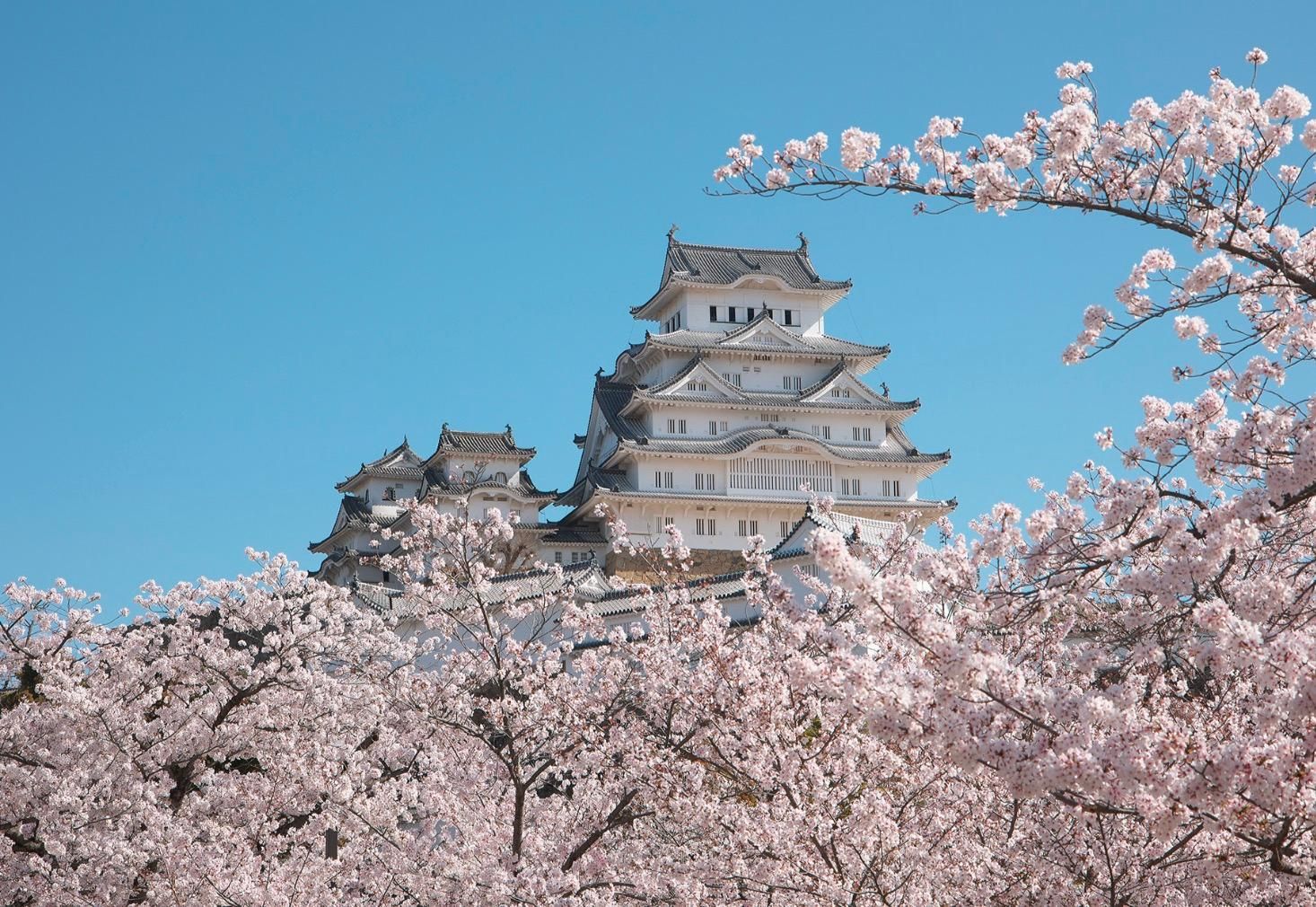 Ab Osaka: 2-tägige Tour nach Himeji, Okayama und zur Insel Shōdō