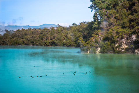 Auckland: Tour culturale e geotermale di Rotorua Māori e pranzoAuckland: Tour culturale e geotermico di Rotorua Māori e pranzo