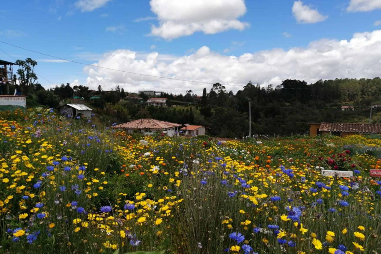 Tour dei fiori e dei silleteros di Medellin