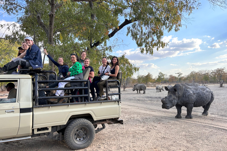 Safari y experiencia con rinocerontes blancos