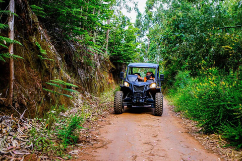 Batumi: Buggy, ATV & Horse Adventure with Hotel Transfers