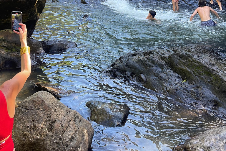 El Yunque Tour Forêt tropicale et toboggan aquatique Puerto Rico