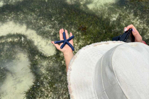 Zanzibar: Clear Kayak, Salaam Cave & Mtende Beach
