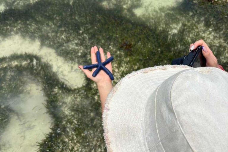 Zanzibar: Clear Kayak, Salaam Cave & Mtende Beach