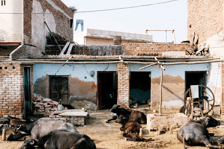 Rundtur i slummen i Old Delhi