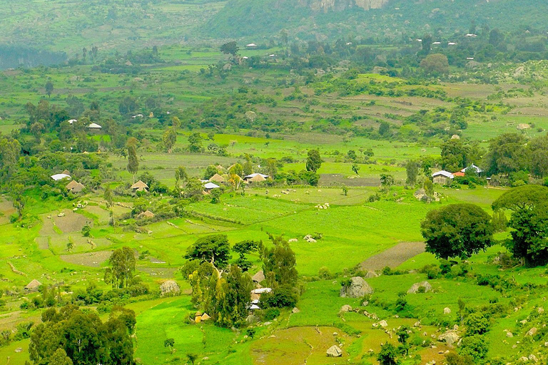 Debre Libanos & Portuguese Bridge 13c Ancient Day Trip