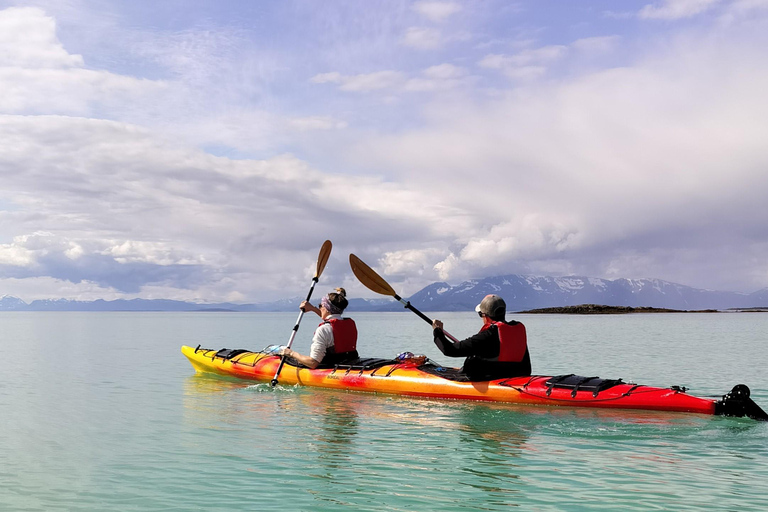 Senja: Fjord Kayaking in Ånderdalen National Park