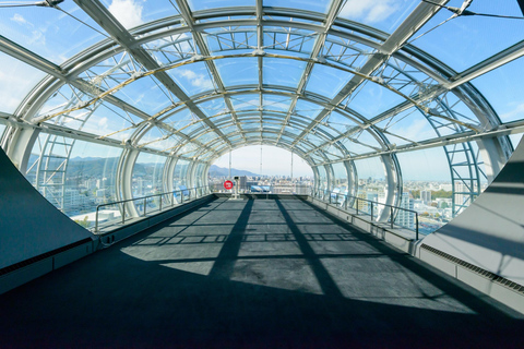 Sapporo: Dome Tour with Observation Deck Entry