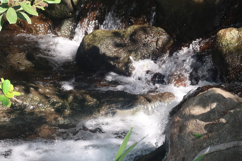 3 days Tsavo East & Tsavo West Safari from Diani/Mombasa