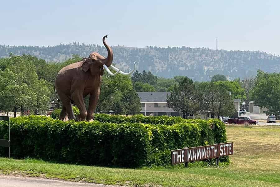 The Mammoth Site of Hot Springs: Eintrittskarte für den allgemeinen Einlass. Foto: GetYourGuide The Mammoth Site of Hot Springs: Eintrittskarte für den allgemeinen Einlass. Foto: GetYourGuide