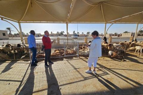 Qassim: Besuch des größten Kamelmarktes der Welt.