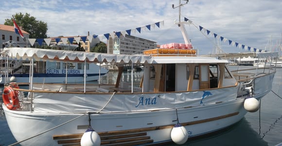 NP Brijuni-Inseln Schwimmen & Delfinbeobachtung bei Sonnenuntergang