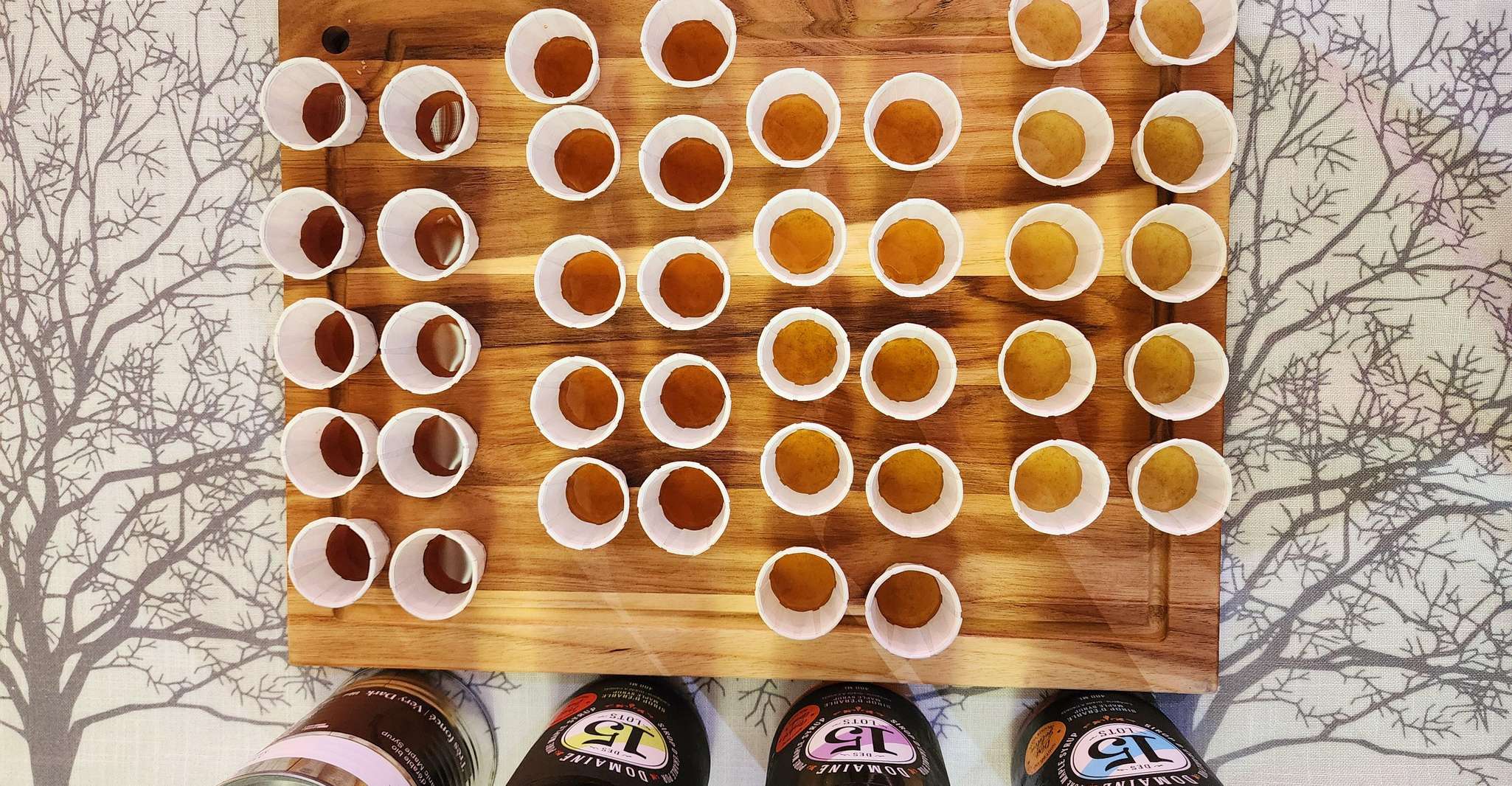 Montreal: Maple syrup tasting and conference. In english! photo 3