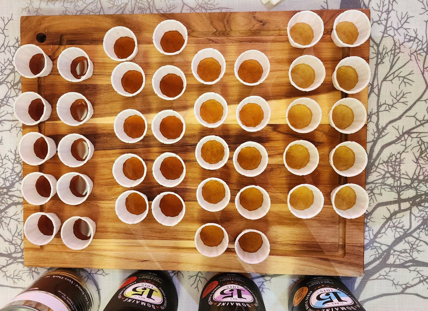 Montreal: Ahornsirupsmagning og konference. På engelsk!