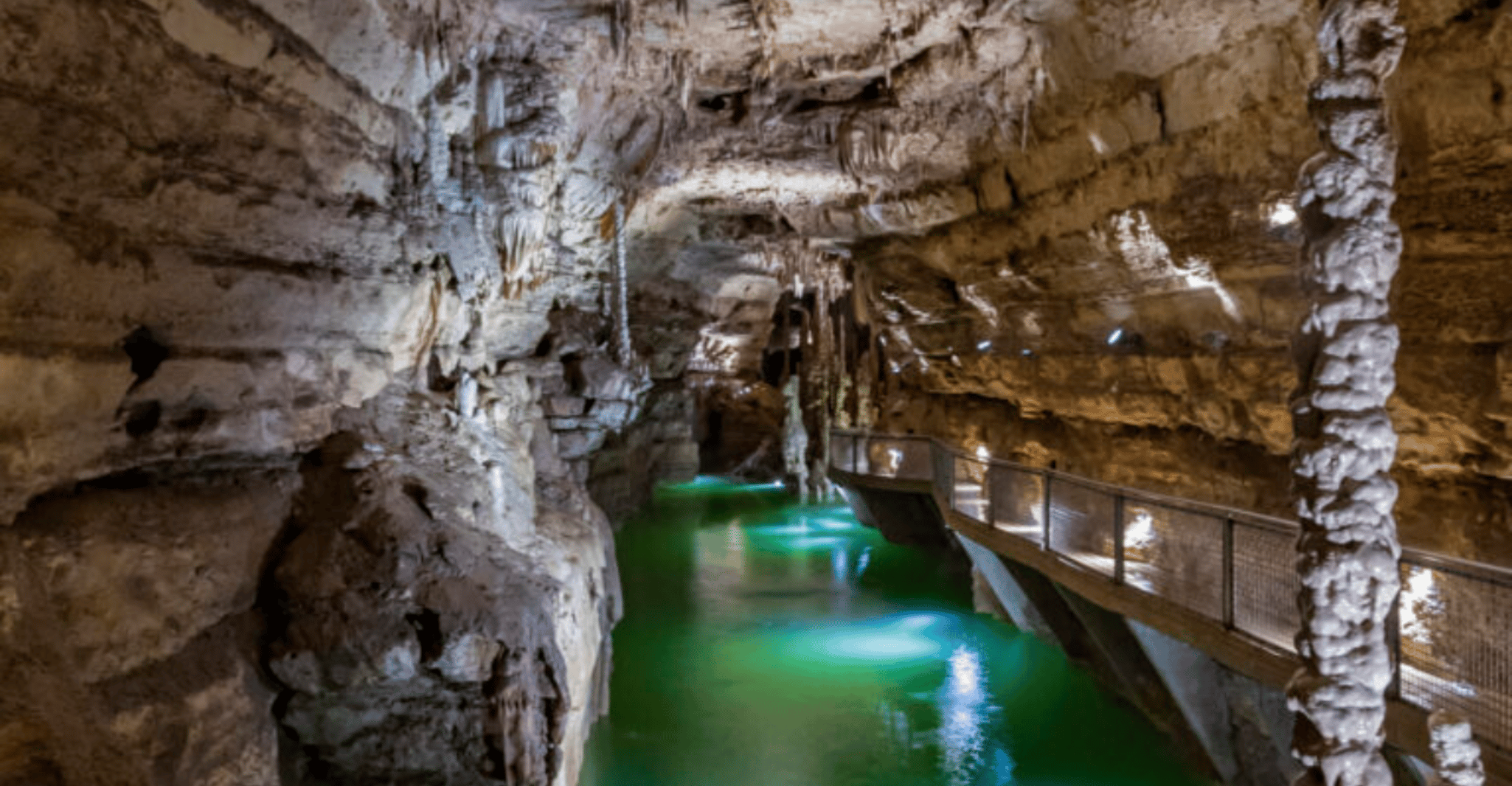 San Antonio: Discovery Tour at Natural Bridge Caverns photo 11