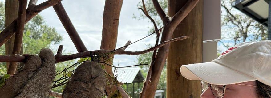Roatán: fauna selvatica e tour dell'isola