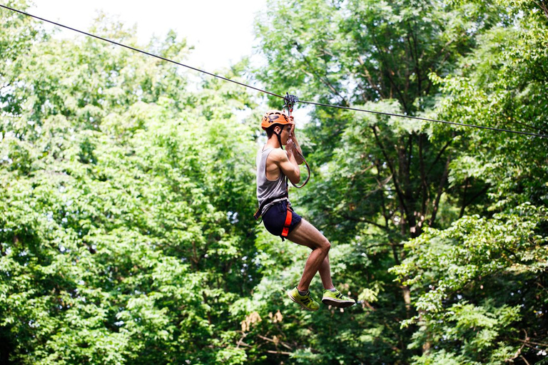 From San José: Sarapiquí Zipline, Horse Ride & Lunch