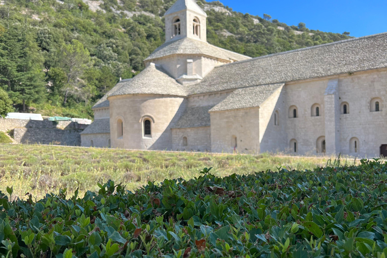 普罗旺斯之旅：探索吕贝隆的村庄普罗旺斯吕贝隆 - 私人