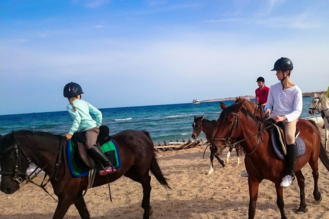 El Gouna : Randonnée à cheval dans le désert et la mer avec baignade en option1 heure de quad + 1 heure d&#039;équitation — Combo double aventure