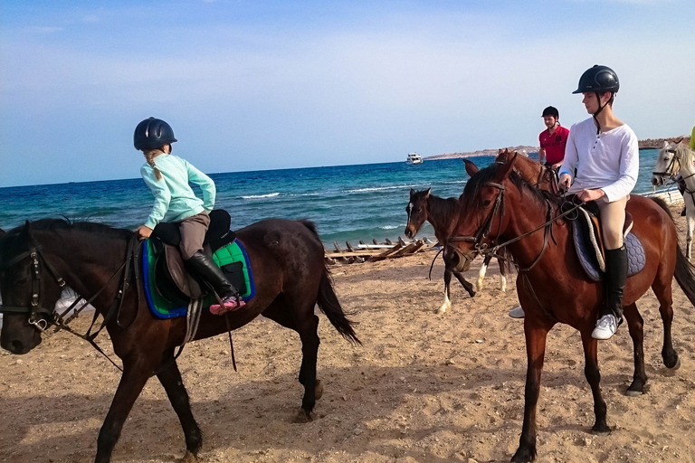 El Gouna : Randonnée à cheval dans le désert et la mer avec baignade en option1 heure de quad + 1 heure d&#039;équitation — Combo double aventure