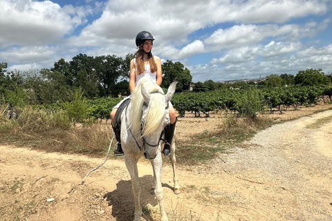 Alicante: przejażdżka konna po górach Maigmó, piknik i transferAlicante: Wycieczka konna na górę Maigmó, piknik i transfer