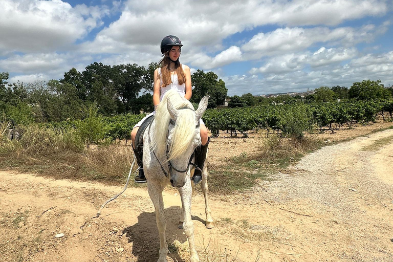 Alicante: przejażdżka konna po górach Maigmó, piknik i transferAlicante: Wycieczka konna na górę Maigmó, piknik i transfer