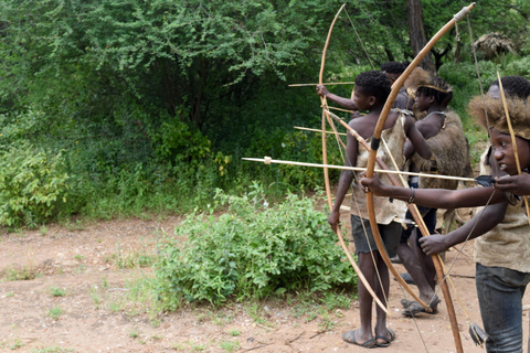 Tarangire-Nationalpark &amp; Eyasi-See (Datoga- &amp; Hadzabe-Dörfer)Premium Lodge im Tarangire-Nationalpark