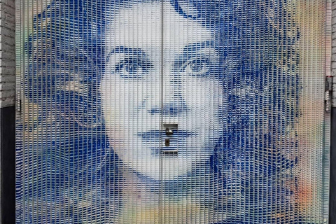 The Hague: a guided tour in French, mixing Street Art and History The Hague: Private Guided Tour in French, Combining Street Art and History