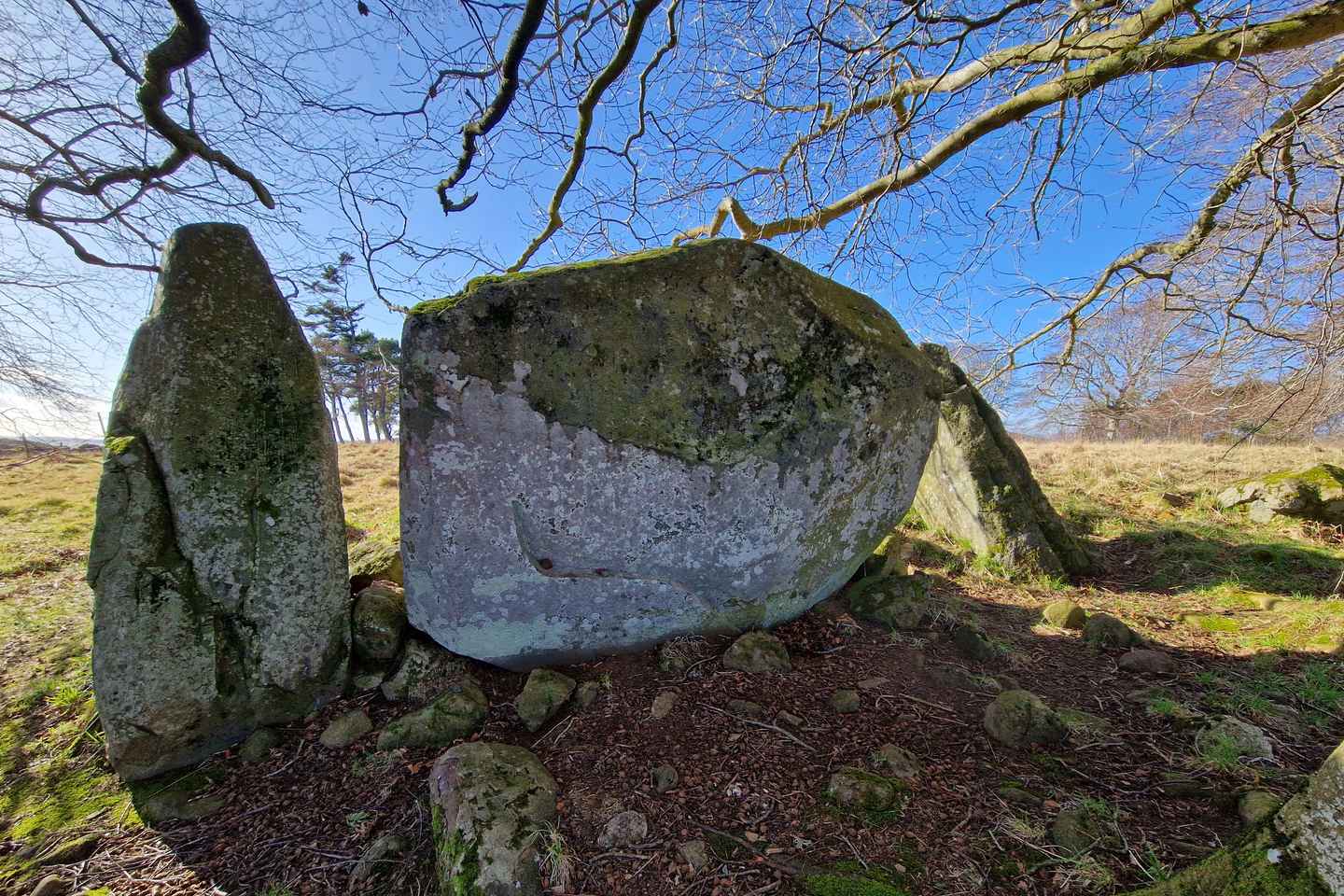 Aberdeen's Ancient Heritage and Folklore Tour