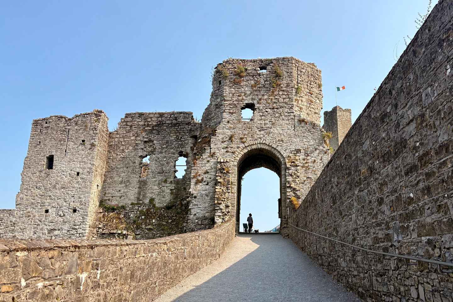 From Dublin: Celtic Boyne Valley and Ancient Sites Tour