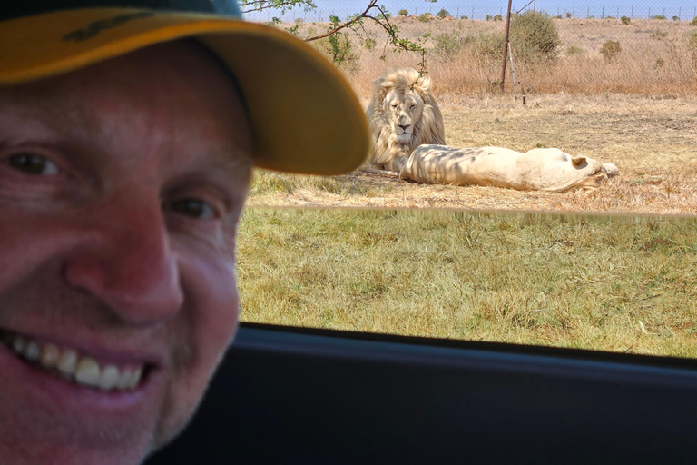 Safari at Lion and Rhino Park / Lesedi Culture Village