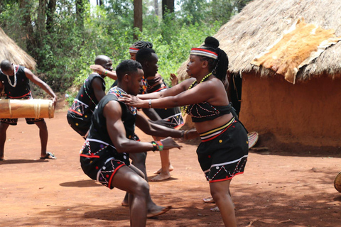 Cultural Perfomances Bomas Of Kenya Afternoon Tour