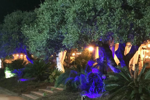 Cambrils: Flamenco Show with a Glass of Cava