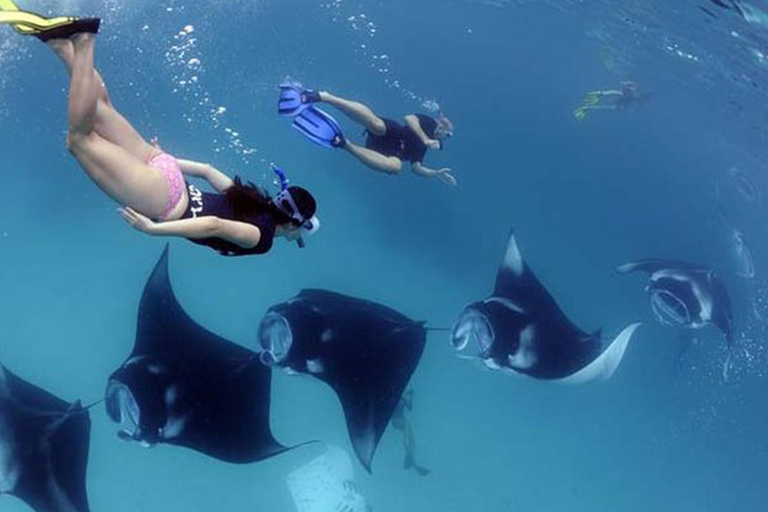 Nusa Penida: Snorkling båttur med Manta Rays