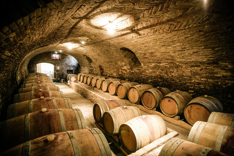 From Florence: Montepulciano, Pienza e Montalcino From Florence: Montepulciano, Pienza e Montalcino