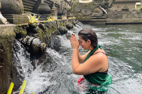 Bali: Private Ubud Highlights Tour with Customized Tour Temple, Monkey Forest, Waterfalls, & More (Without Tickets)