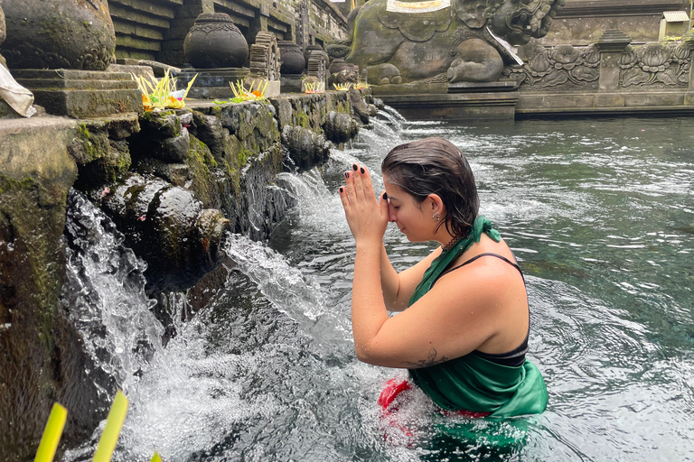 Bali: Private Ubud Highlights Tour with Customized Tour Temple, Monkey Forest, Waterfalls, & More (Without Tickets)