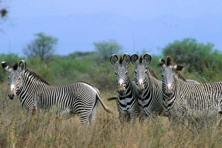 Excursión de 5 días Aberdare-Olpejeta-Samburu