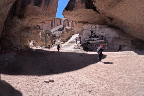 From La Paz: Tour guide-led tour of Sajama Park