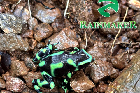 Puntarenas: Rainmaker Park Guided Tour with Lunch