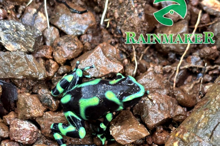 Puntarenas: Rainmaker Park Guided Tour with Lunch