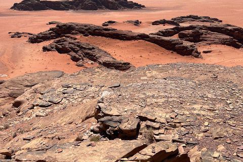 Wadi Rum: 2-Day Southern Desert Tour, Camel & Stargazing