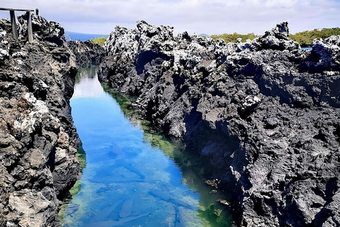 Explore as maravilhas naturais de Isabela e da Ilha Tintoreras